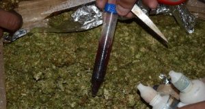 Incinera la Fiscalía General de la República narcóticos en Sinaloa