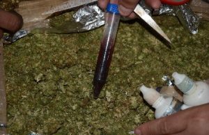 Incinera la Fiscalía General de la República narcóticos en Sinaloa