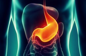 El estómago, segundo cerebro