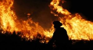 La génesis de la corrupción