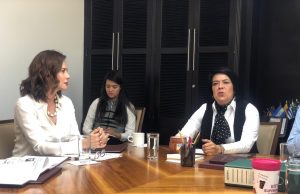 Se reúne Rosy Fuentes con titulares de DIF Nacional y Beneficencia Pública