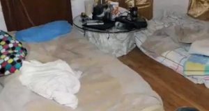 Rescatan a 43 mexicanos esclavizados en Canadá