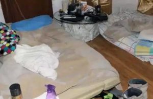 Rescatan a 43 mexicanos esclavizados en Canadá