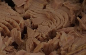 Viene la Cuaresma… que no te den soya por atún