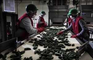 Registra Sinaloa 23 mil 582 nuevos empleos ante el IMSS en abril