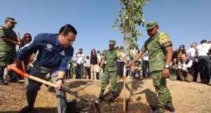 “Respira Querétaro”, la estrategia que busca sanear el medio ambiente