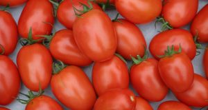 Ganar-ganar dice USA a Sinaloa