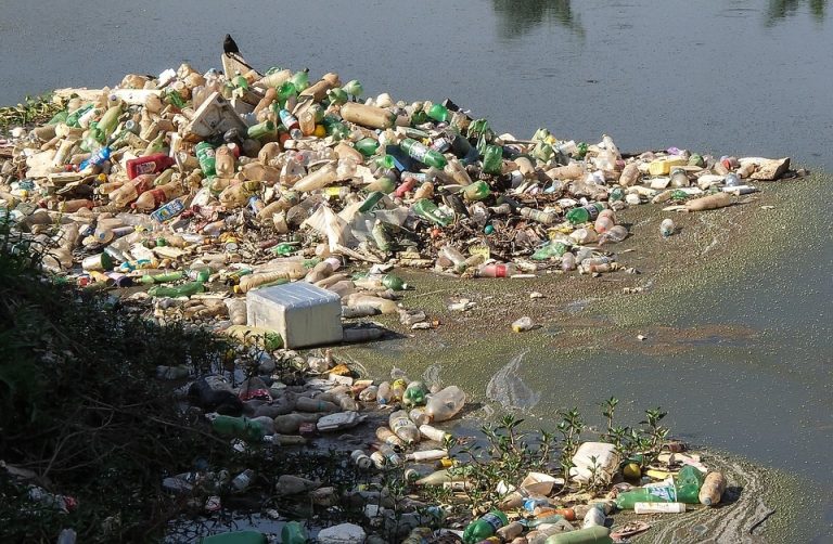 Multa y arresto a quien tire basura en ríos, canales y drenes de ...