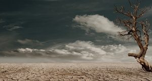 Día mundial de la lucha contra la desertificación y la sequía