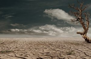 Día mundial de la lucha contra la desertificación y la sequía