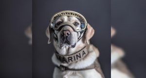 Se jubila Frida, luego de 10 años salvando vidas