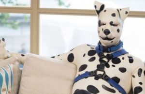 Hombre siente que es un ‘Dálmata’ y pide que lo reconozcan como “transespecie”