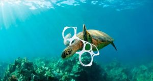 Llama la ONU a eliminar contaminación por plásticos