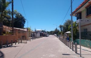 Le cambian el rostro a los campos pesqueros sinaloenses