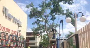 Intentan revivir el Paseo del Ángel en Culiacán
