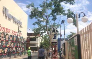 Intentan revivir el Paseo del Ángel en Culiacán