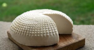 Stapylococcus aureus y Escherichia coli bacterias que provocaron intoxicación por consumo de quesos en Choix
