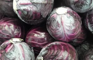 A comer más repollo… La col morada ayuda a prevenir el Alzhéimer
