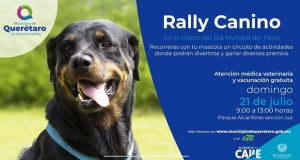 Municipio de Querétaro celebra el Día Mundial Del Perro con un rally canino
