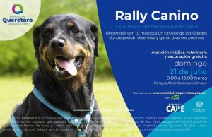 Municipio de Querétaro celebra el Día Mundial Del Perro con un rally canino