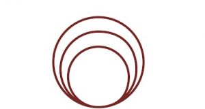 Universidades asustadas