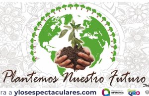 Con Respira Querétaro se han sembrado 40 mil árboles