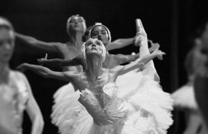 El Lago de los Cisnes, llega a Culiacán con el Moscow State Ballet