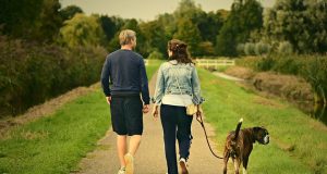 Tres comandos básicos que todo perro debe obedecer