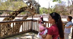 Pasa un fin de semana a todo ‘Zoo’