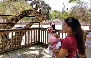 Pasa un fin de semana a todo ‘Zoo’