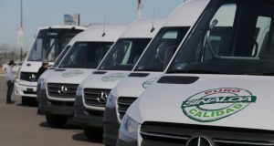 Anuncia Quirino que habrá mil camiones nuevos para el 2020