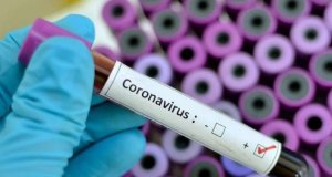 Coronavirus, un modelo a seguir