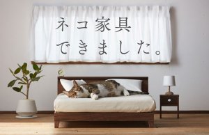 Muebles miniatura para gatos, la nueva propuesta de Japón