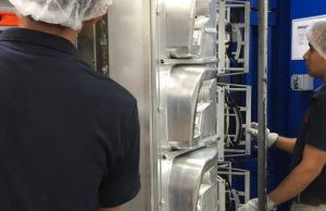 31 mil 61 empleos generados en 2019