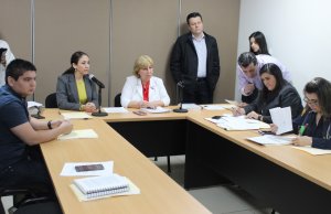 Votan en Comisiones a favor de Reyna Araceli para continuar en Ismujeres