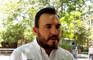 Lobos marinos rescatados están vivos pero graves: Zoológico de Culiacán