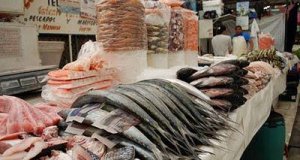 Es cuaresma; consulta aquí precios oficiales de los pescados de temporada