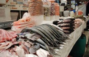 Es cuaresma; consulta aquí precios oficiales de los pescados de temporada