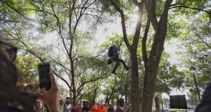 Realizan el 5to campeonato de Trepa Árboles en Querétaro