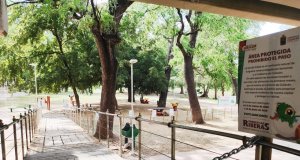 Cierran en Culiacán espacios públicos municipales hasta nuevo aviso
