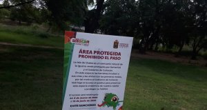 Cierran Isla de Orabá durante tres meses para el cuidado de la Iguana Verde