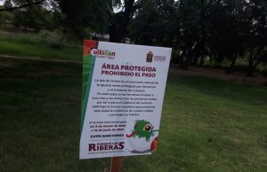 Cierran Isla de Orabá durante tres meses para el cuidado de la Iguana Verde