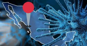 Coronavirus y política sinaloense