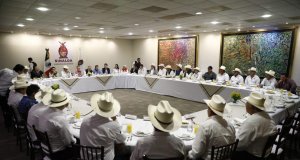 Precio de garantía al maíz da certidumbre a los productores: Quirino