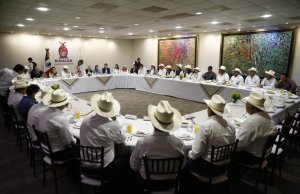 Precio de garantía al maíz da certidumbre a los productores: Quirino