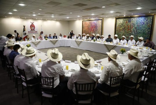 Precio de garantía al maíz da certidumbre a los productores: Quirino