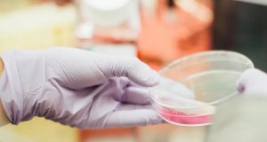 Avanza Rusia en desarrollo de vacuna contra COVID-19