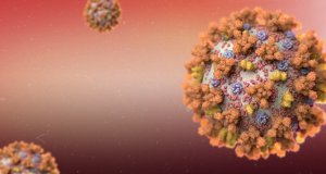 Coronavirus: mitos y realidades al momento