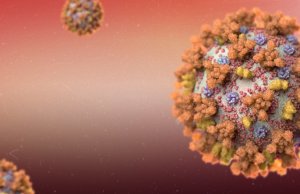 Coronavirus: mitos y realidades al momento