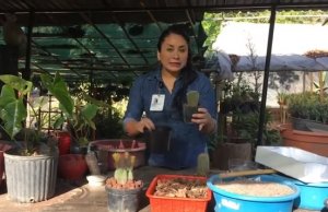 Taller de jardinería, para este Día de la Tierra